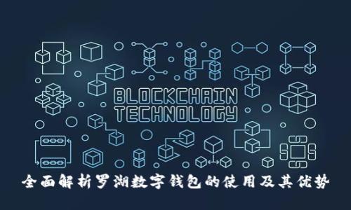 全面解析罗湖数字钱包的使用及其优势