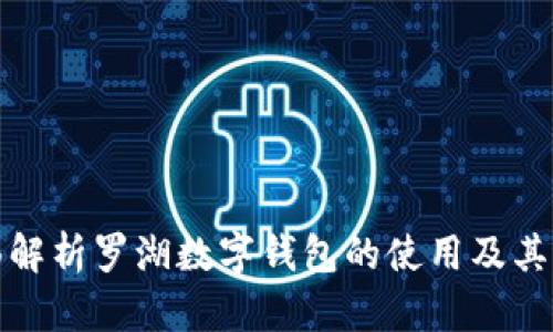 全面解析罗湖数字钱包的使用及其优势