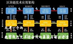 思考一个的数字钱包充不进去钱的原因与解决方