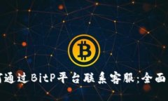 如何通过BitP平台联系客服：全面指南