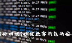 数字钱包转账能撤回吗？探究数字钱包的安全性