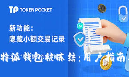 如何避免B特派钱包被冻结：用户指南与安全策略