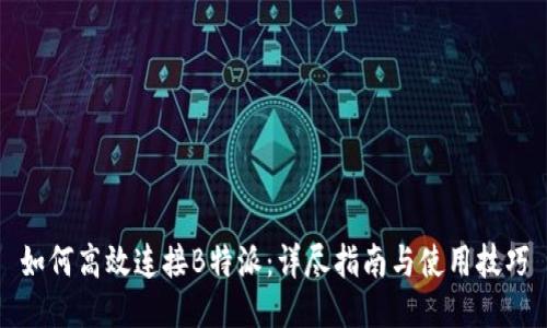 如何高效连接B特派：详尽指南与使用技巧