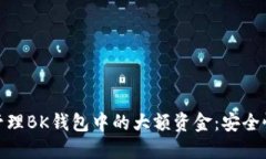 : 如何管理BK钱包中的大额资金：安全性与策略