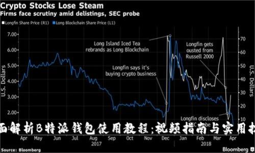 全面解析B特派钱包使用教程：视频指南与实用技巧