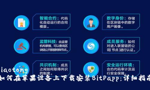 jiaotong
如何在苹果设备上下载安装BitPapp：详细指南