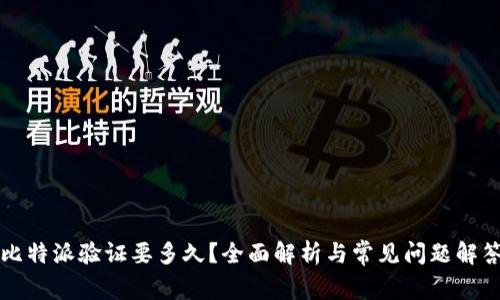 比特派验证要多久？全面解析与常见问题解答